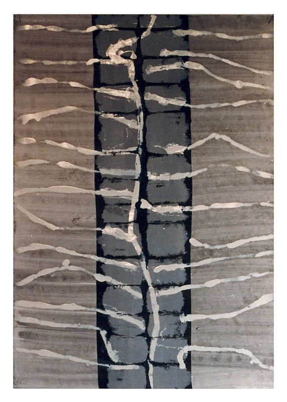 Dieter Stolte – via vertebralis 2